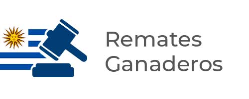 remates-uruguay